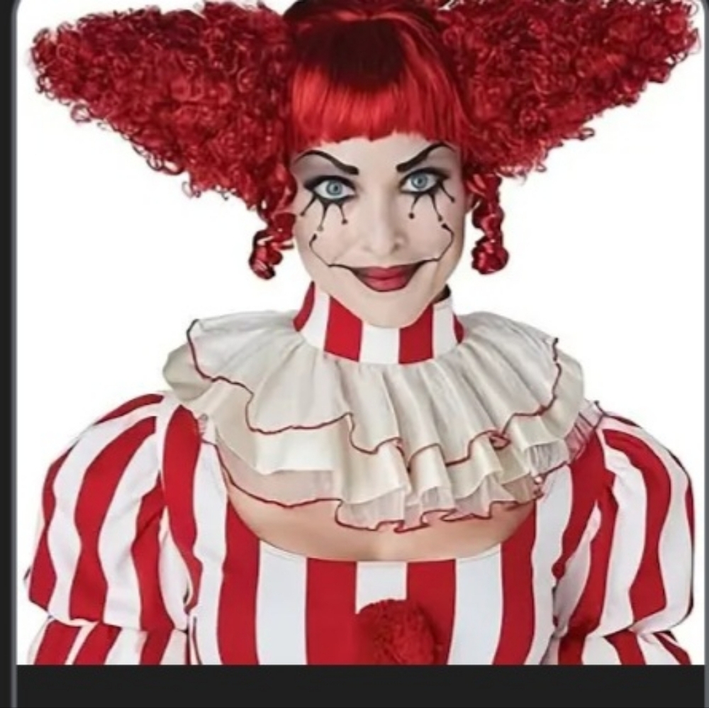Complete Crazy Clown Outfit. (Clown Image For Styling Ideas, Not Included)